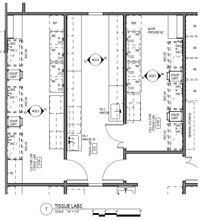 Lab Layout